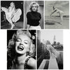 Set of 10 Marilyn Monroe Posters - Poster Paper - (12 x 17 inches)each