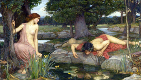 Echo And Narcissus - John William Waterhouse - Canvas Prints by John William Waterhouse
