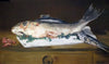 Still Life with Carp (Nature morte avec carpe) - Edouard Manet - Canvas Prints