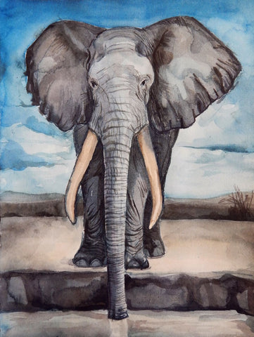 Elephant Sanctuary - Canvas Prints by Christopher Noel