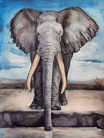 Elephant Sanctuary - Framed Prints