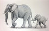 Elephant and Calf - Large Art Prints
