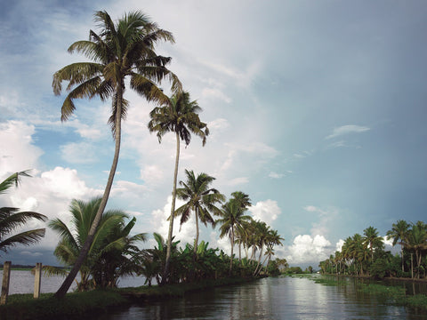 Endless Backwaters of Alappuzha