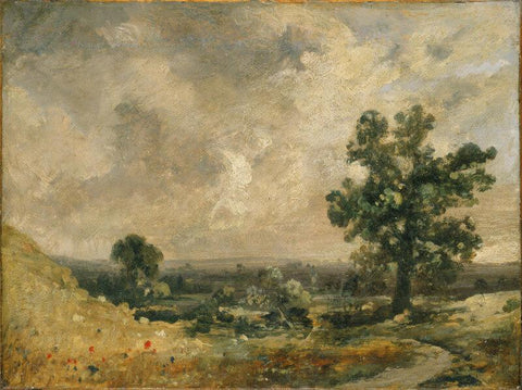English Landscape - Canvas Prints by John Constable