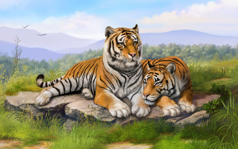 Fearless Twin Tigers - Framed Prints