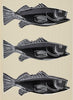 Fish - Andy Warhol Painting - Canvas Prints