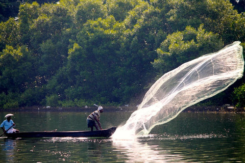 Fishing In Kerala Backwaters by Emily Harper