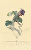 Flowers, 1948 ( Flores, 1948) - Salvador Dali Painting - Surrealism Art - Framed Prints