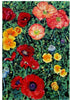 Floral Art Poppies - Art Panels