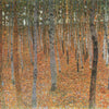 Forest Of Beech Trees - Art Prints