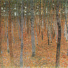 Forest Of Beech Trees - Canvas Prints