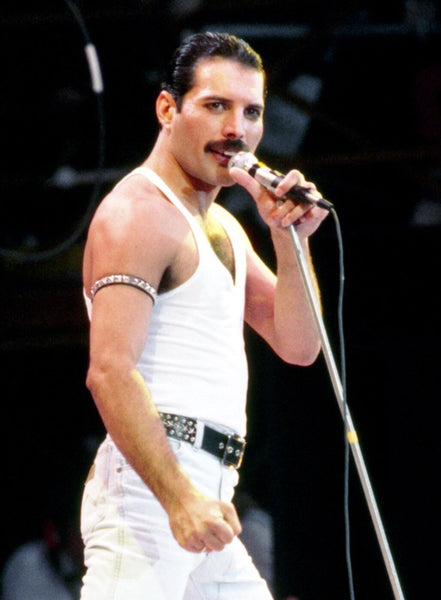 Freddie Mercury Live-Aid Concert Poster - Life Size Posters