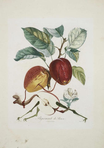 Fruit Series - Apple By Salvador Dali - Large Art Prints by Salvador Dali