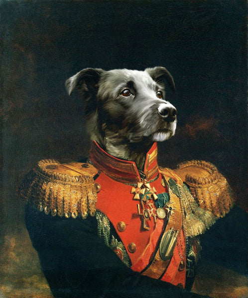 General Dog - Canine Portrait - Framed Prints