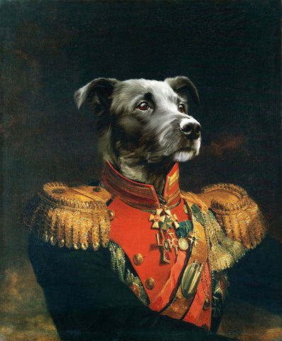 General Dog - Canine Portrait - Large Art Prints by Tallenge Store