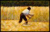 The Mower - Canvas Prints