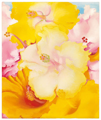 Hibiscus - Large Art Prints by Georgia OKeeffe