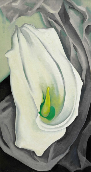 White Calla Lily - Georgia O Keeffe - Framed Prints