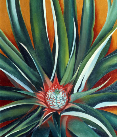 Pineapple Bud - Georgia OKeeffe - Framed Prints by Georgia OKeeffe