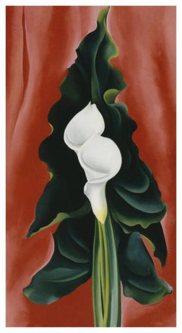 Untitled-(Tulip) - Art Prints by Georgia OKeeffe