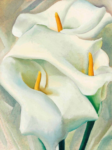 Calla Lilies - Georgia OKeeffe - Canvas Prints by Georgia OKeeffe