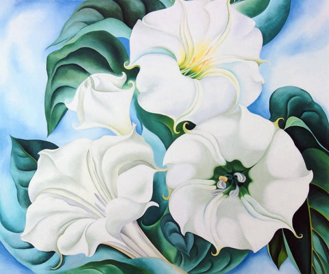 Jimson Weed - Georgia OKeeffe - Framed Prints by Georgia OKeeffe