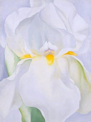 White Iris No 7 - Framed Prints by Georgia OKeeffe