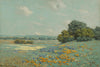 Landscape with Poppies - Framed Prints