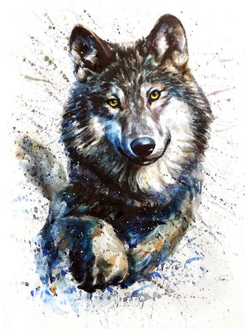 grey wolf painting