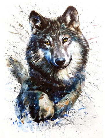 Gray Wolf - Watercolor Animal Painting by Sina Irani