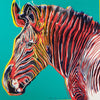 Grevy's Zebra - Canvas Prints