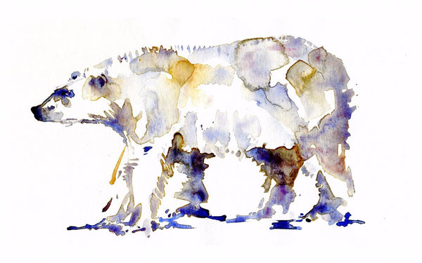 Grizzly Bear - Canvas Prints