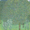 Rose Bushes Under The Trees - Large Art Prints