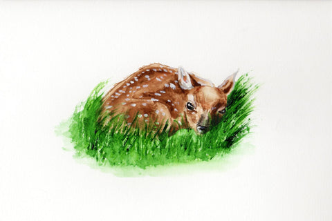 Hi, I'm Deer - Canvas Prints