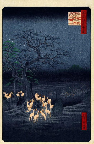 New Year's Eve Foxfires At The Changing Tree, Oji - Canvas Prints
