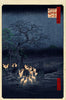 New Year's Eve Foxfires At The Changing Tree, Oji - Canvas Prints