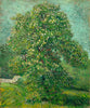 Horse Chestnut Tree In Blossom (Bloeiende Paardenkastanje) - Vincent van Gogh - Canvas Prints