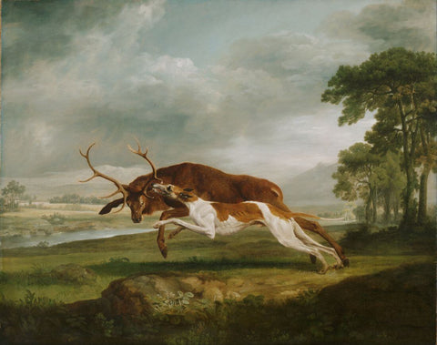 Hound Coursing A Stag - George Stubbs Painting - Canvas Prints by George Stubbs