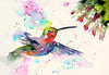 Hummingbird - Colorful Painting - Bird Wildlife Art Print Poster - Large Art Prints