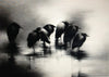 Crows - Canvas Prints