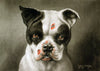 I'm A Bad Dog - Cassius Coolidge Painting 1895 - Large Art Prints