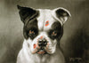 I'm A Bad Dog - Cassius Coolidge Painting 1895 - Canvas Prints