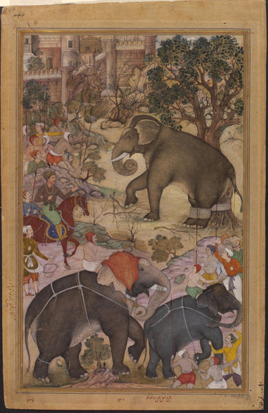 Indian Miniature Art - Mughal Painting - Emperor Akbar Inspecting A Wild elephant - Art Prints