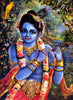 Indian Art - Painting - Krishna Kanhaiya Playing Flute - Canvas Prints