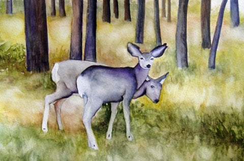 Innocent Twin Mule Deer - Large Art Prints