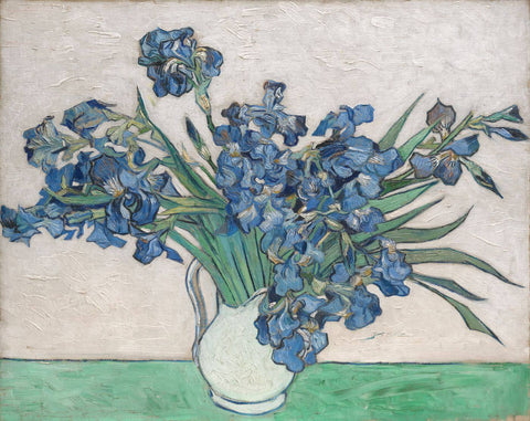 Irises - Vincent Van Gogh by Vincent Van Gogh