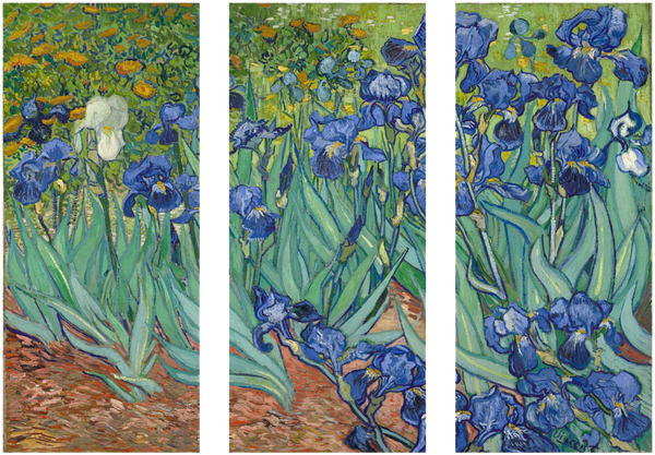 Irises by Vincent van Gogh - Art Panels