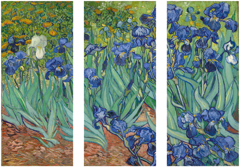 Irises - Art Panels by Vincent van Gogh