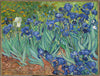 Irises by Vincent van Gogh - Art Panels