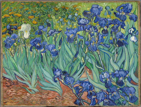 Irises by Vincent Van Gogh | Tallenge Store | Buy Posters, Framed Prints & Canvas Prints